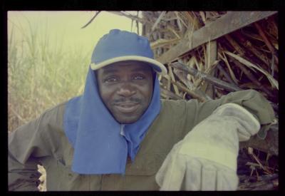 Produção de filme institucional sobre usinas de açúcar