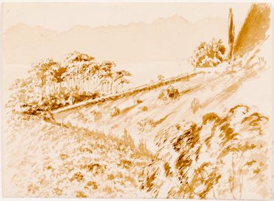 [Paisagem brasileira com encosta de morro com árvores, tendo por fundo a baía e o Gigante Adormecido]