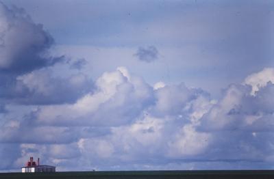 Fazenda Pirapó - plantação de soja com celeiro ao fundo