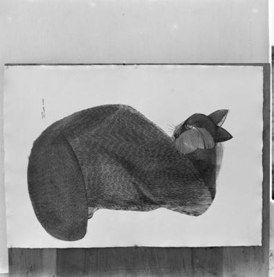 Obras de Aldemir Martins