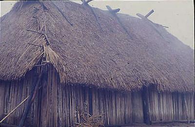 Série Xingu - Maloca xinguana