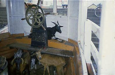 Série Amazonas - Interior de embarcação