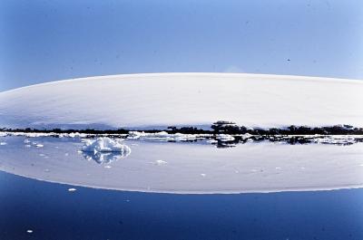 Aventuras de Igor na Antártida