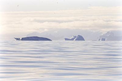 Aventuras de Igor na Antártida