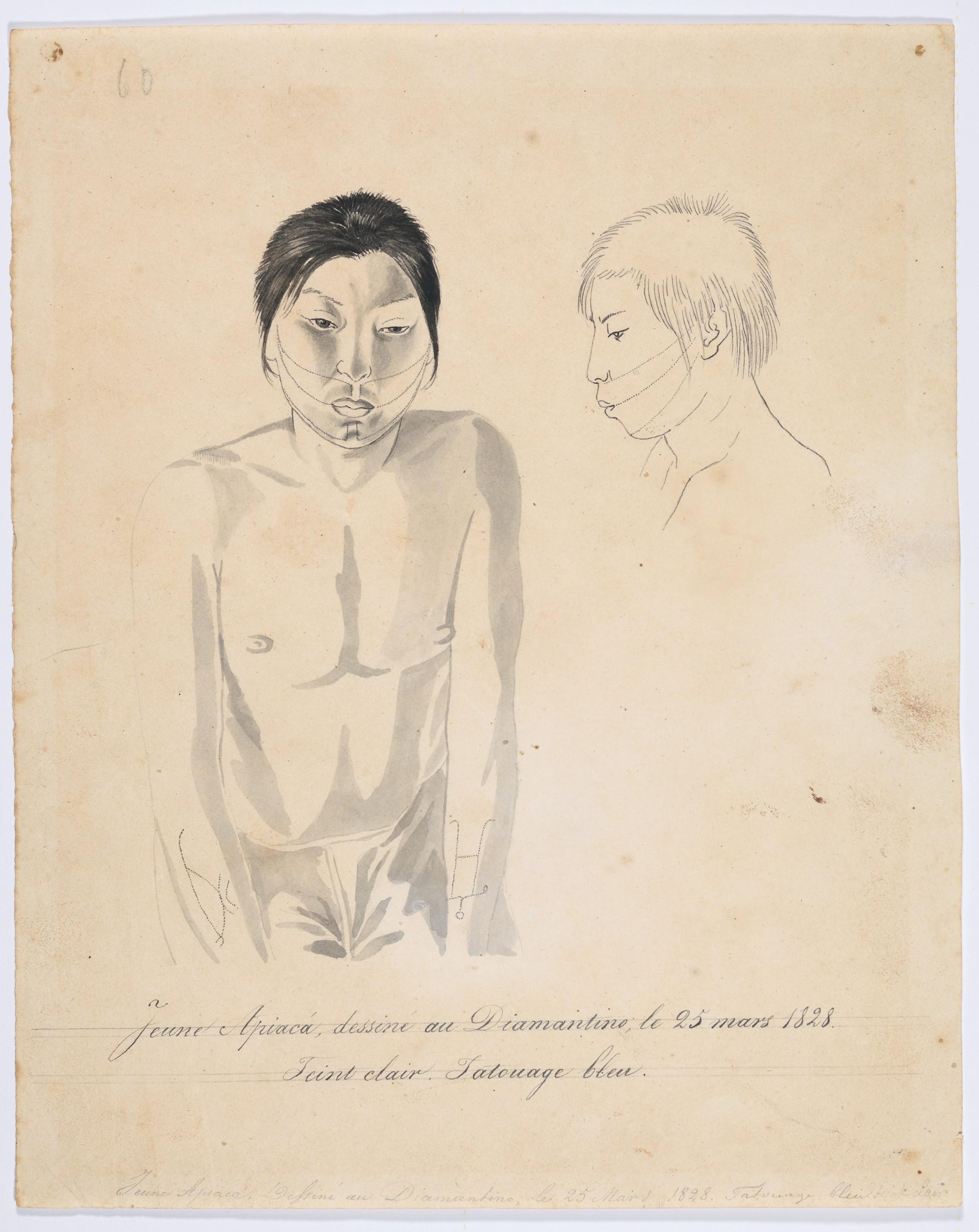 Jovem Apiacá [Apiaká], desenhado em Diamantino, em 25 de março de 1828. Tez clara. Tatuagem azul.