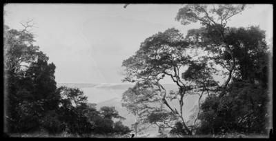 Vista do Jardim Botânico; a partir da Estrada do Redentor
