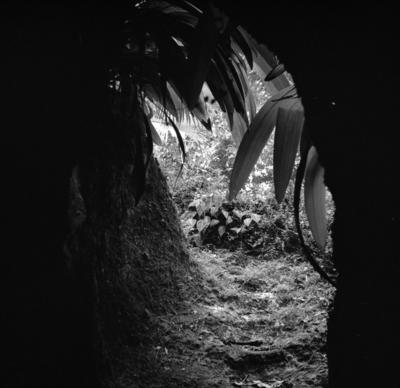 Jardim do Parque Lage, destaque para gruta