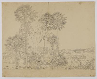 Carandás, Sítio do Cacúnda