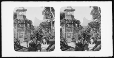 Gaiola de pássaros no Morro da Viúva