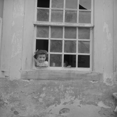 Vistas de Paraty e seus arredores