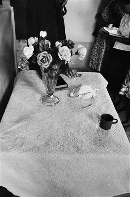 Família de Picinguaba #05