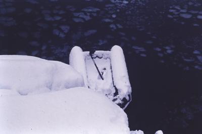 Aventuras de Igor na Antártida