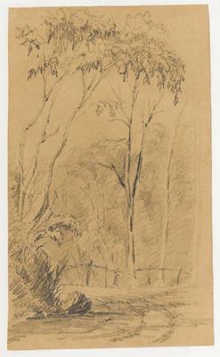 [Curva de estrada, com cerca e árvores]