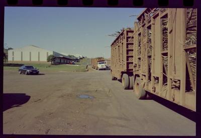 Produção de filme institucional sobre usinas de açúcar