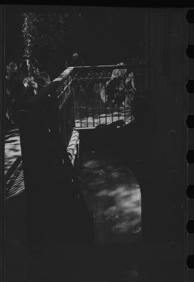 Em busca de fazendas para locacações do filme Os Herdeiros, de Cacá Diegues