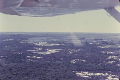 Vista aérea do pantanal
