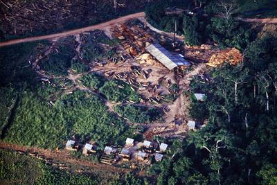 Vista aérea de madeireira