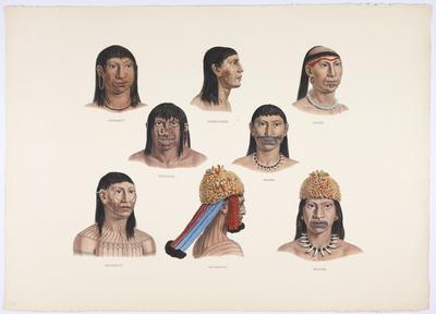 (Aruáquis, catauuixis, iupuás, miranhas, araras, mundurucus, mauées)