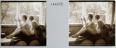 Estereoscopia erótica