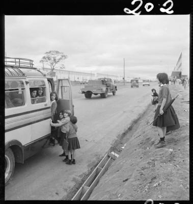 Crianças na avenida W3