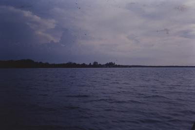 Expedição Pico da Neblina