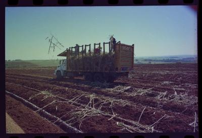 Produção de filme institucional sobre usinas de açúcar