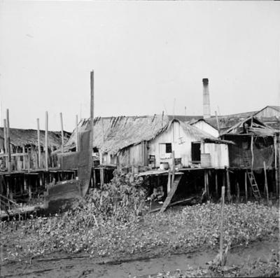 Vila da Barca, palafitas flutuantes