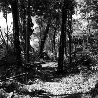 Cachoeira do Paredão