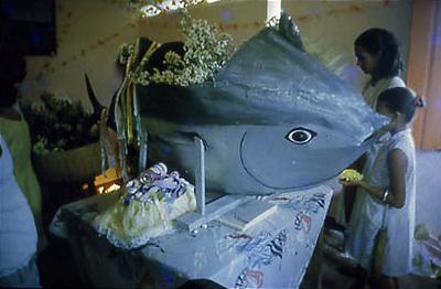 Série Bahia Antiga e Nova