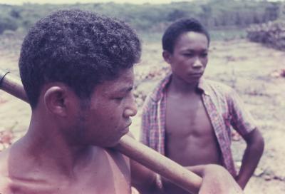 Roça do quilombo de Sibaúma