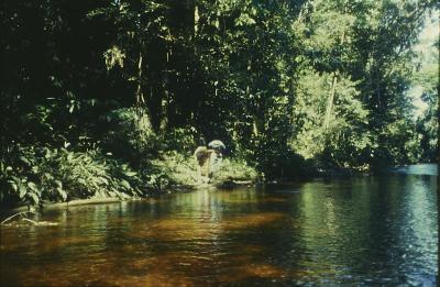 Rio Cauaburi, expedição Pico da Neblina