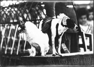 Paranoia: “inventando a loucura e o arrependimento de Deus"