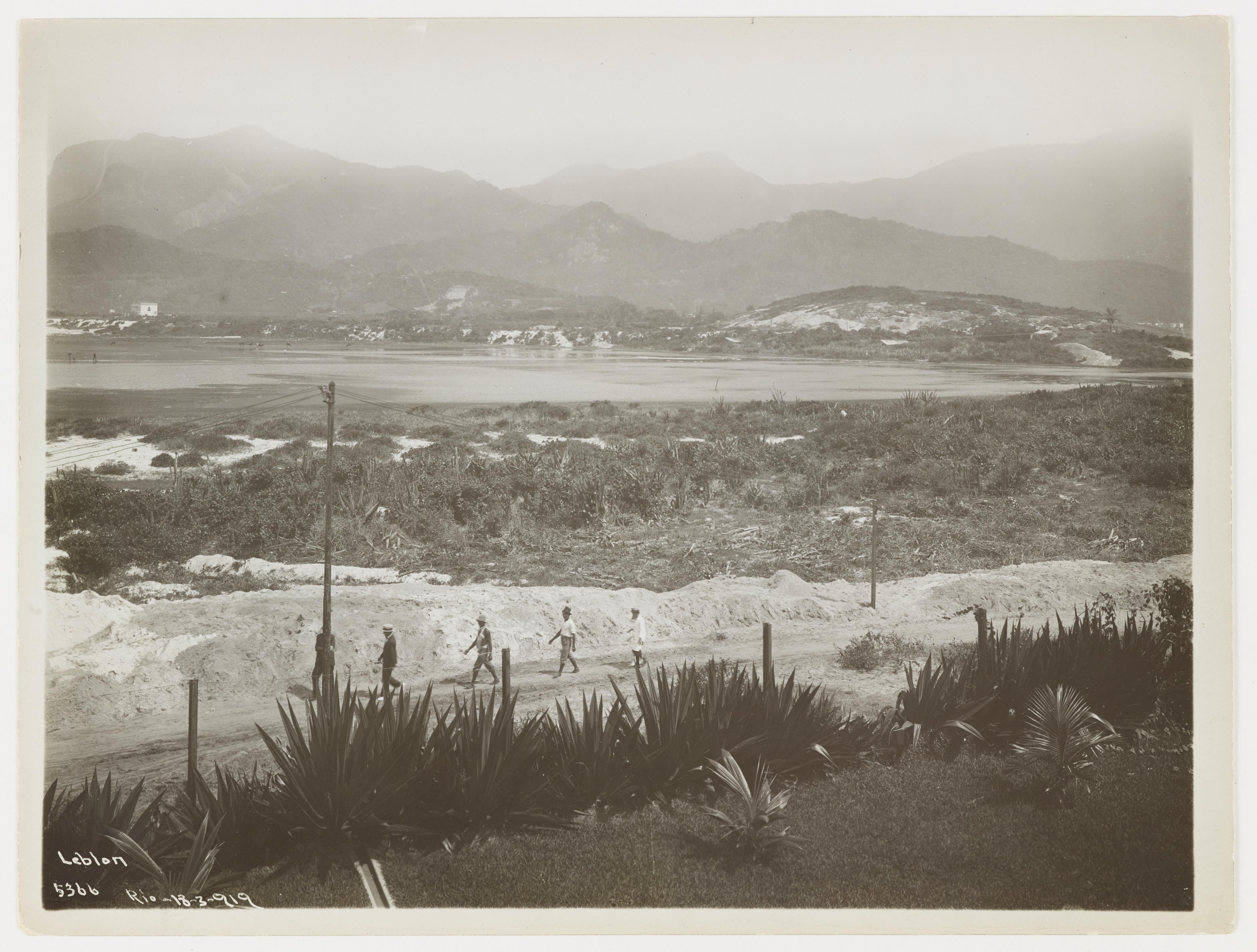 Lagoa Rodrigo de Freitas