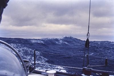 Aventuras de Igor na Antártida