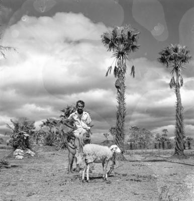 Canindé, acampamento de romeiros