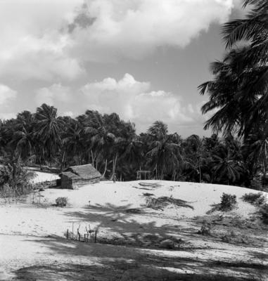 Jangadas e jangadeiros