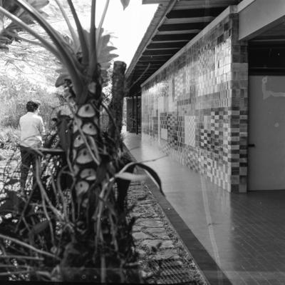 Residência de Olivo Gomes, projeto dos arquitetos Rino Levi, Roberto Cerqueira César e Burle Marx