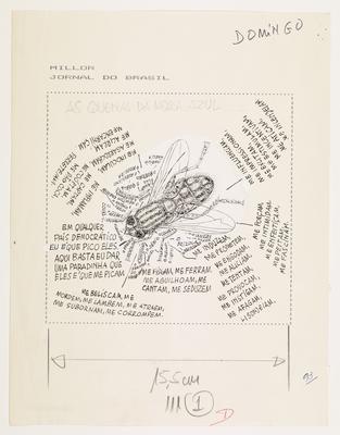 As queixas da mosca azul