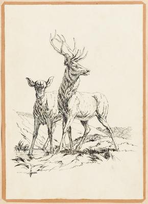 [Casal de cervos]