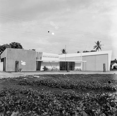 Recife, Biblioteca Popular de Casa Amarela ou Biblioteca Alcides Lopes, a partir de 2005