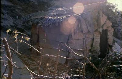 Série Sertões - Casa rústica