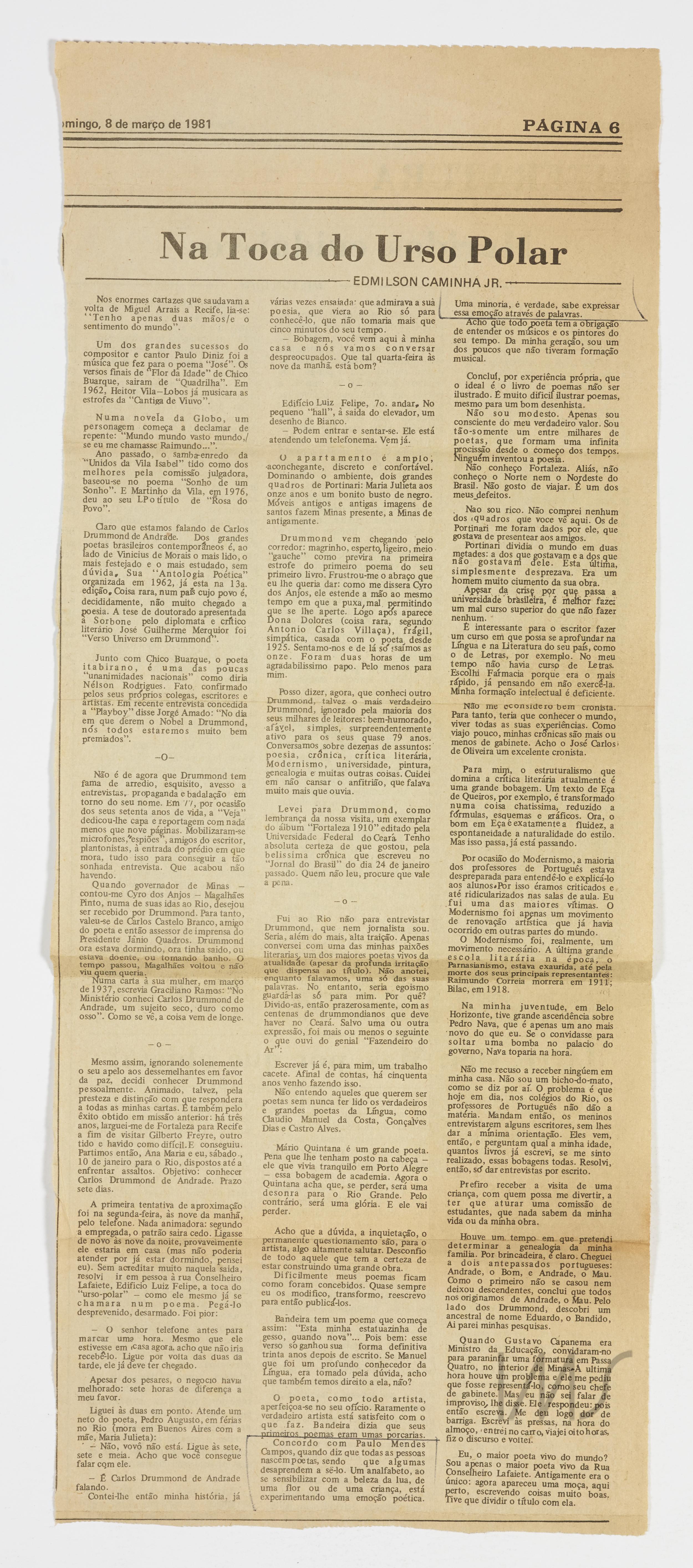 Na toca do urso polar