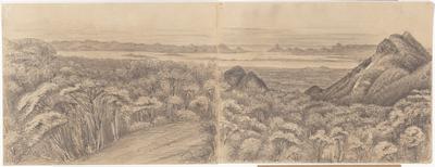 Bay of Rio de Janeiro from the Serra de Tacuarra Petropolis - 2000 feet above Sea Feb. 23th 1855 -