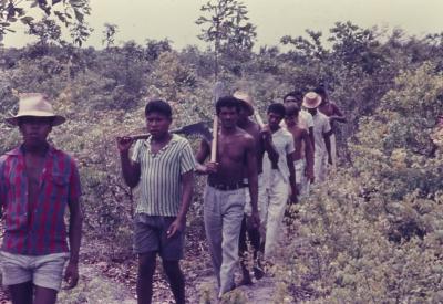 Roça no quilombo de Sibaúma