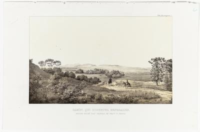 (Campos chamados Gerais, perto de Mogi das Cruzes, na Província de S. Paulo)