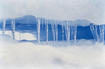 Aventuras de Igor na Antártida