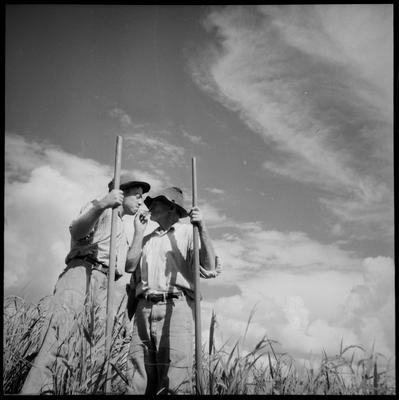 Pausa para o cigarro