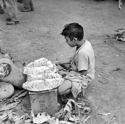 Feira de Caruaru, vendedores