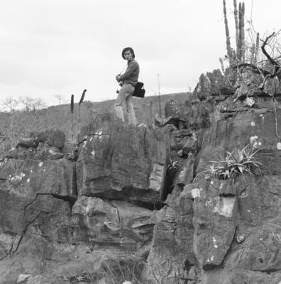 Residência de Odette Monteiro, projeto do arquiteto Wladimir Alves de Souza e Burle Marx