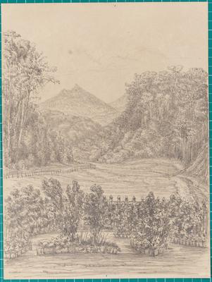 View from my Bedroom Presidencia Petropolis 23th October 1854